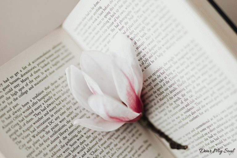 Phụ nữ giỏi giang cũng cần khéo léo