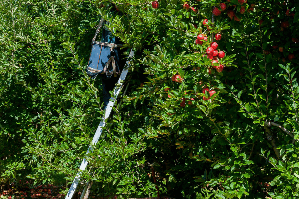 Đừng lợi dụng tình thương của cha mẹ