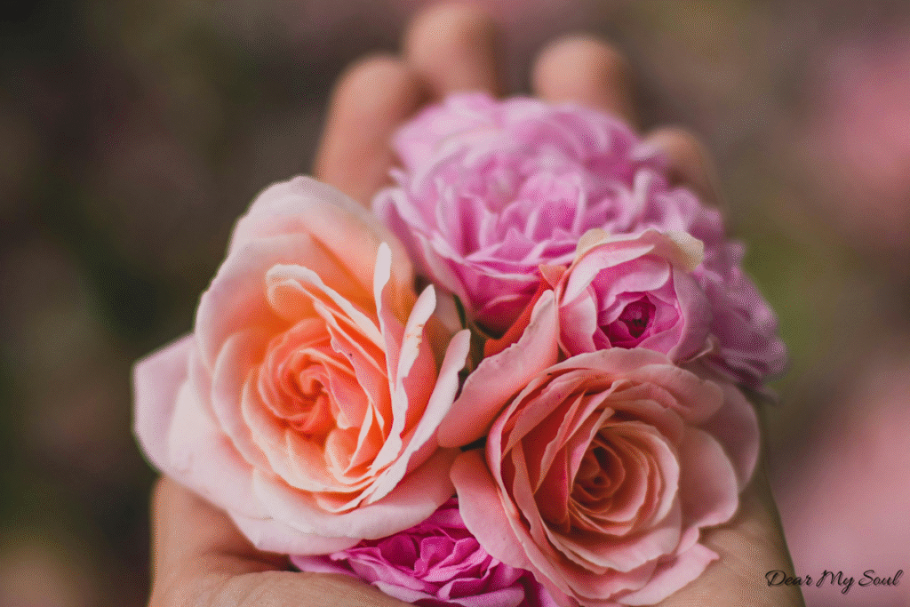 Tình đơn phương