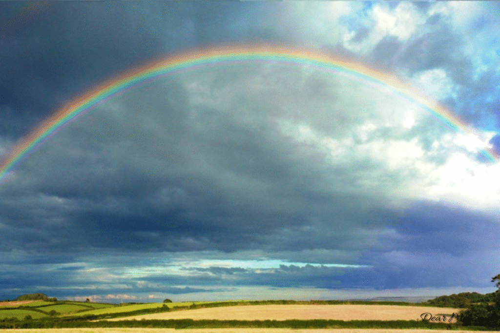 Phụ nữ mạnh mẽ cũng cần một bờ vai để tựa