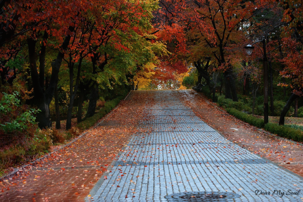 Để cuộc sống dễ dàng hơn