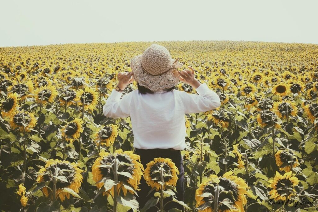 Mẹ đơn thân- Có nên là một lựa chọn?