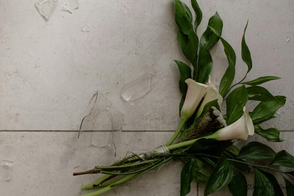 Cuộc đời chỉ sống một lần – Nhưng sống sao để hạnh phúc?