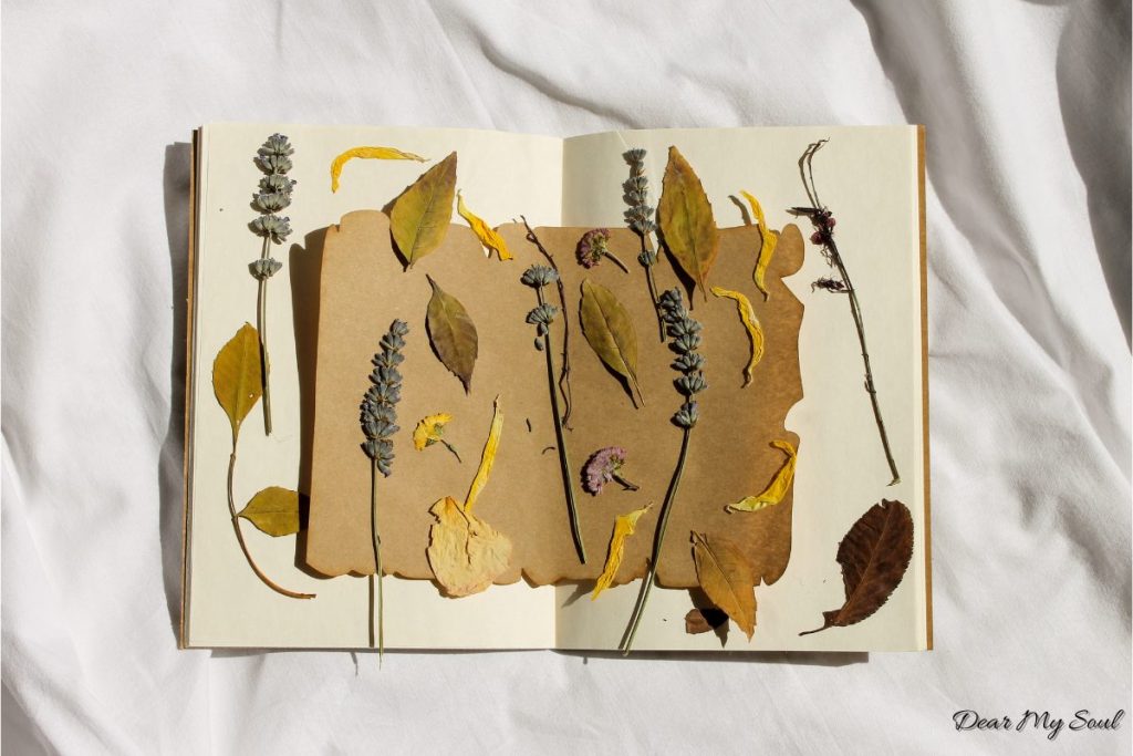 Gửi Thanh Xuân: Những Bài Học Tuổi Trẻ Đáng Trân Quý