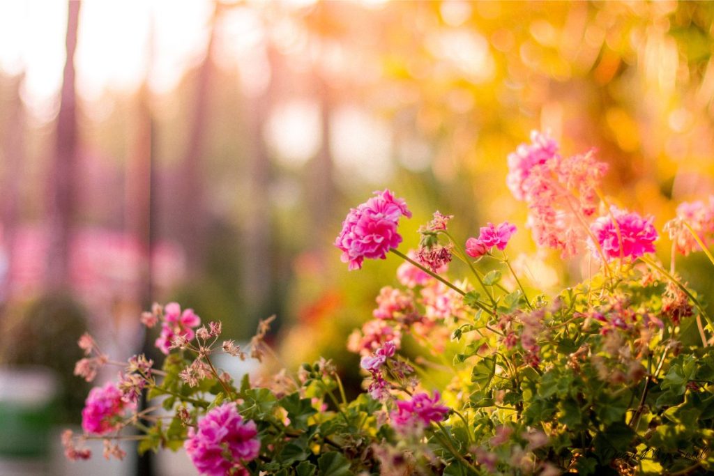 Mỗi người đều có vùng tổn thương riêng!