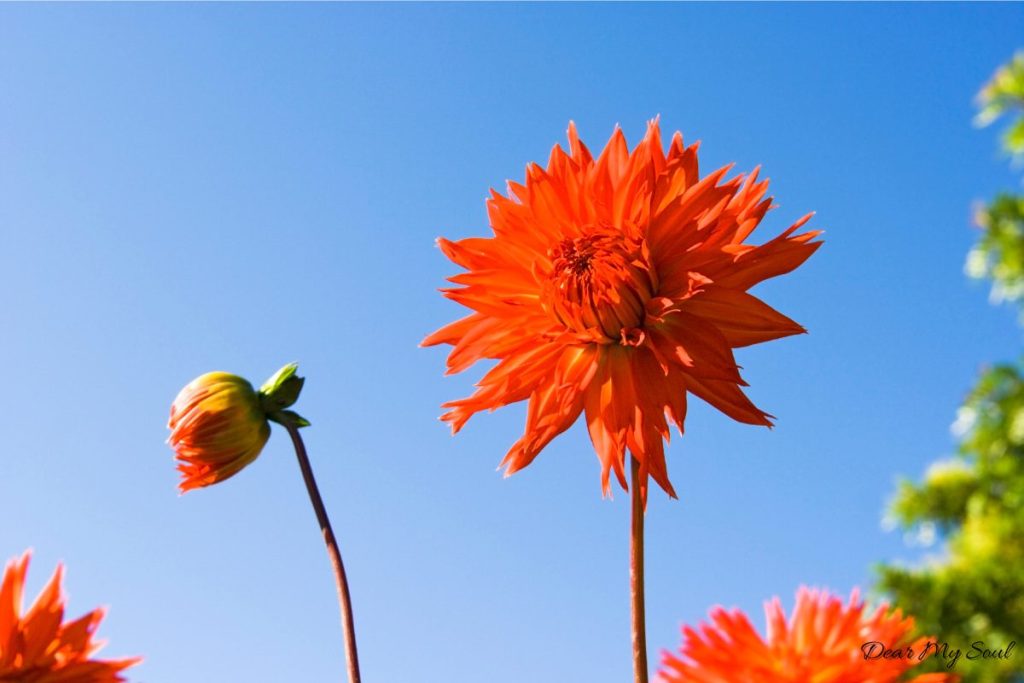 Gửi Thanh Xuân: Những Bài Học Tuổi Trẻ Đáng Trân Quý