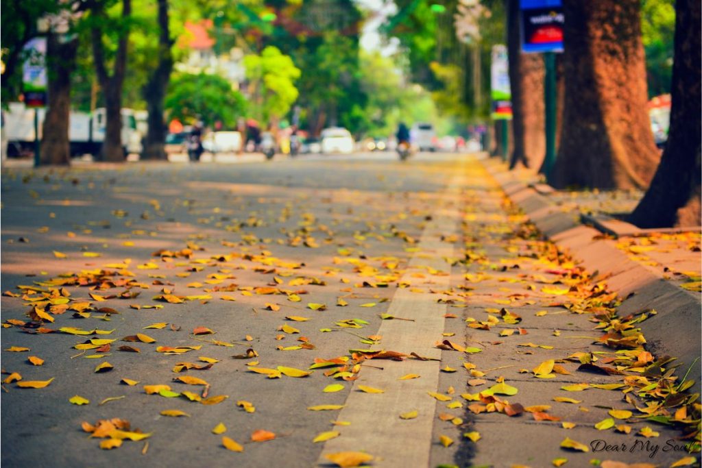 Làm thế nào để nhận ra tình yêu chân thành