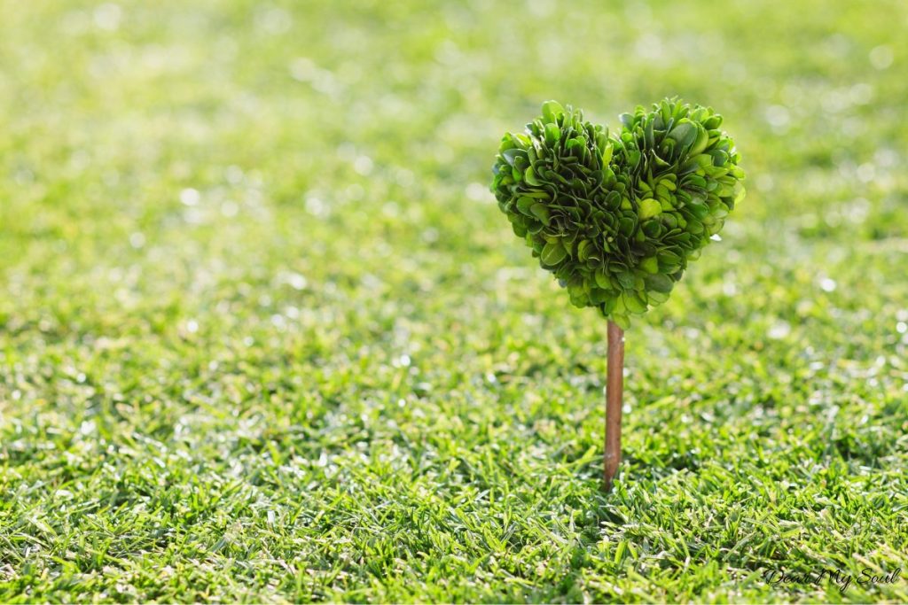 Bạn có chọn làm người tử tế hay không?