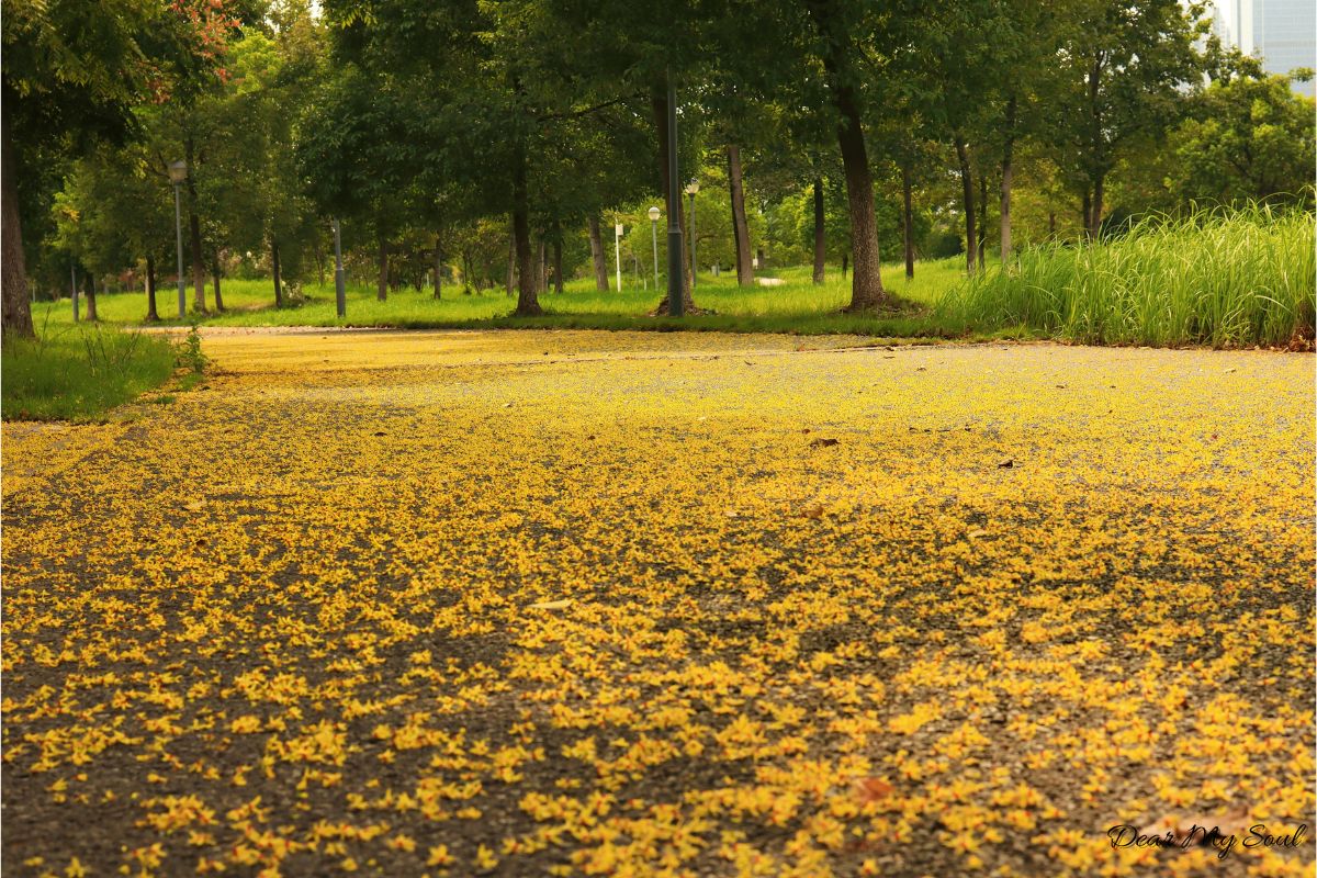 Khi giữ không được nữa, liệu buông có phải là sai?